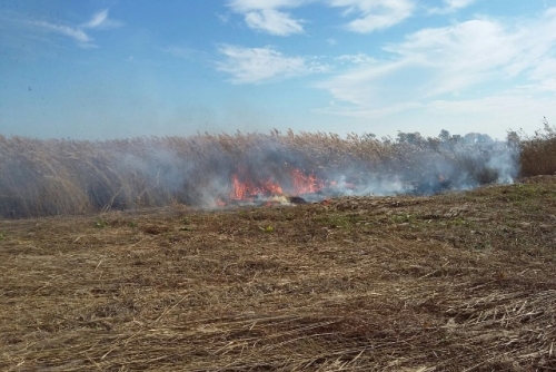 Flurbrand im Hansag