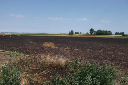 Flurbrand zwischen St. Andrä und Tadten