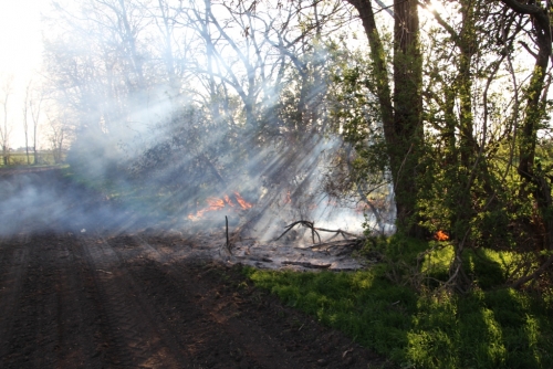 Flurbrand zwischen Tadten und Wallern