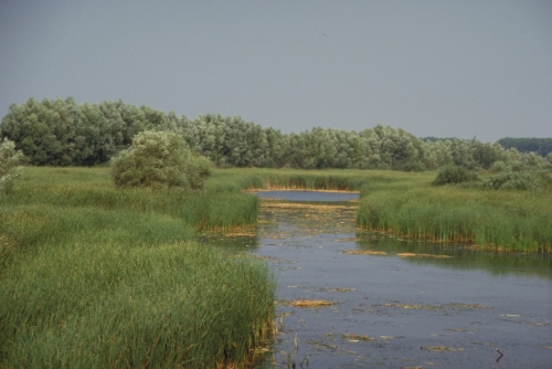 Impressionen aus Tadten