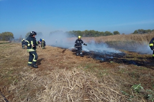 Feuerwehr beim Löschen des Flurbrandes