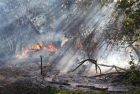 Flurbrand zwischen Tadten und Wallern