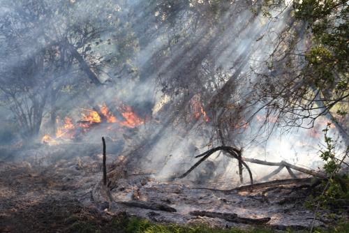 Flurbrand zwischen Tadten und Wallern