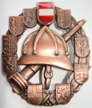 Feuerwehrleistungsabzeichen Bronze